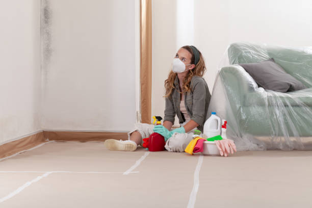 Reliable Black Mold Removal contractor in Lake Stevens, WA by WQB Mold Removal
